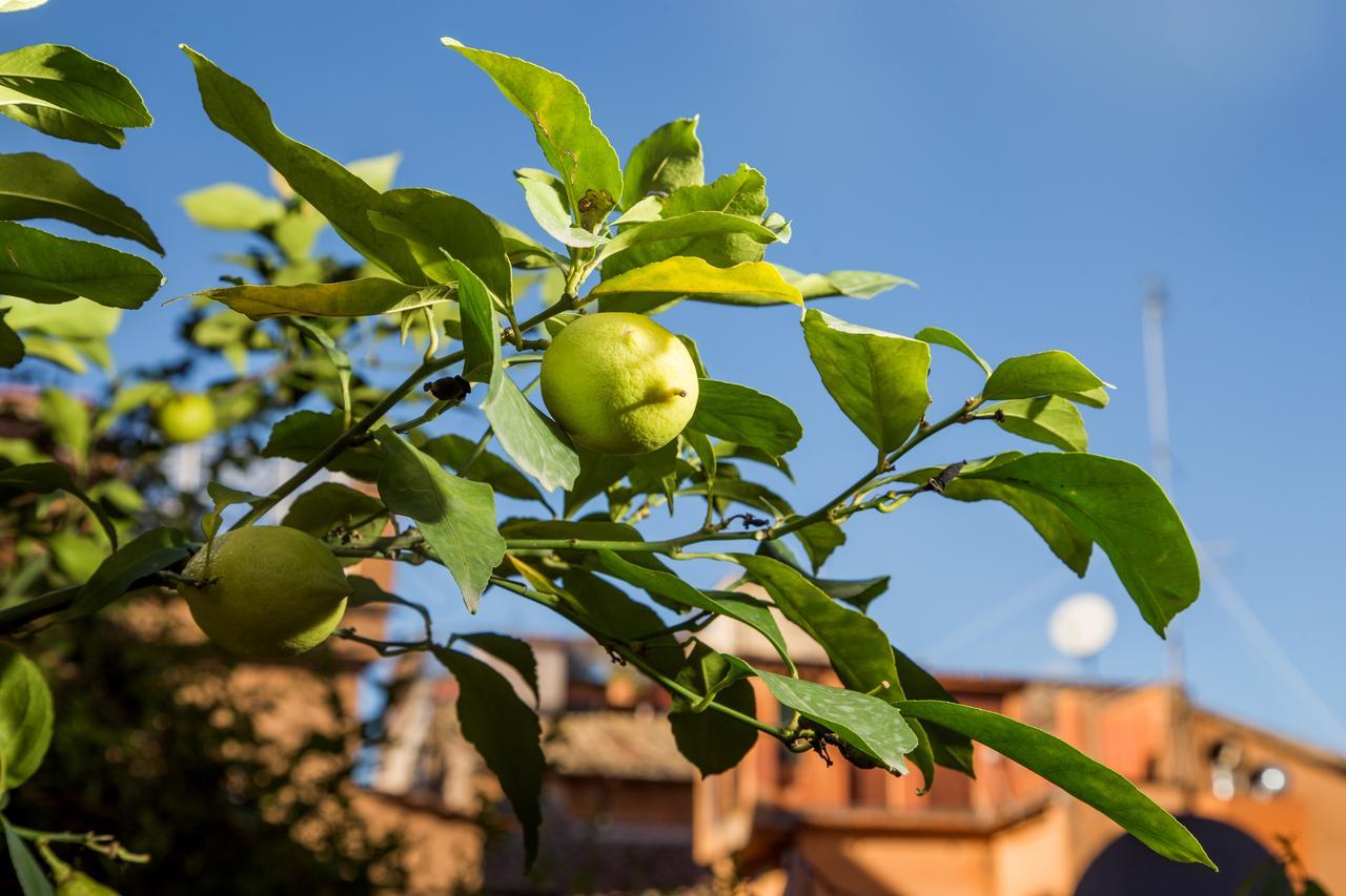 Trastevere Apartments Roma Exterior foto